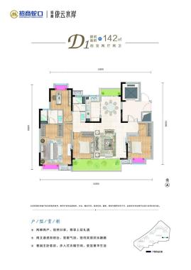 d1户型142㎡